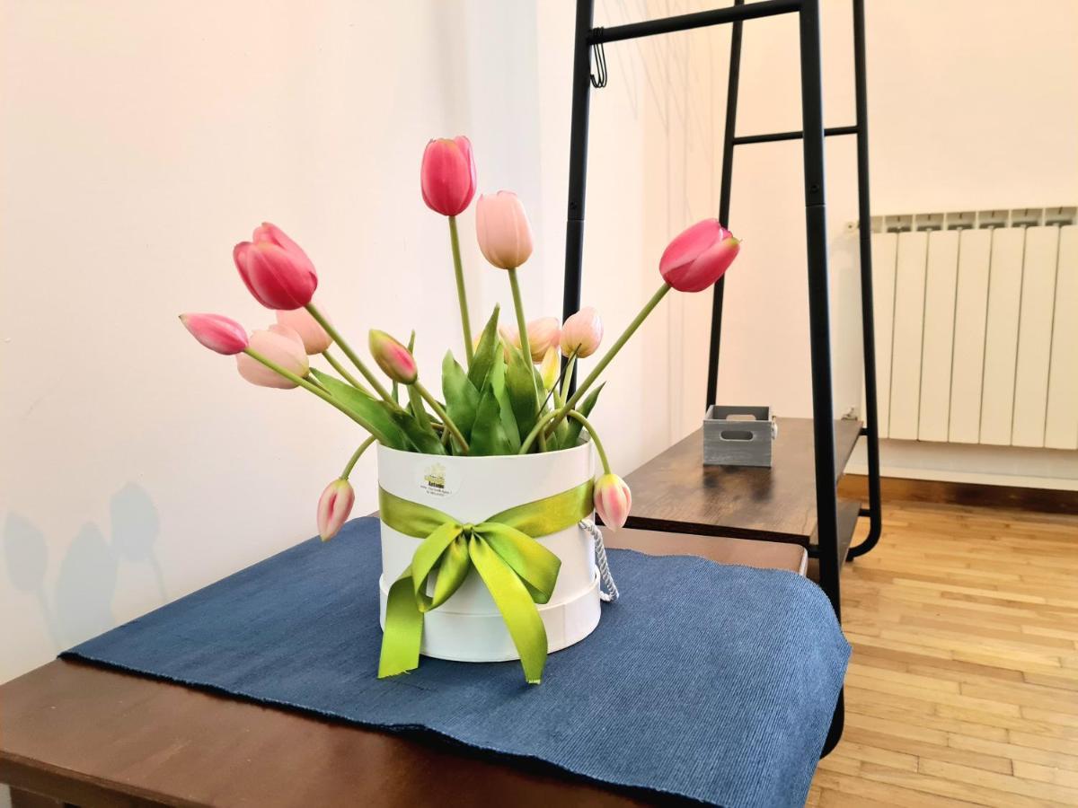 Flavel Colosseo Apartment โรม ภายนอก รูปภาพ